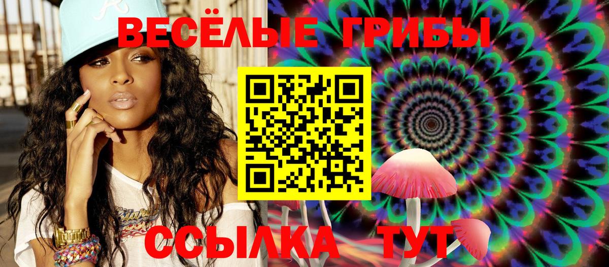 Псилоцибиновые грибы Psilocybe  Галлюциногенные грибы прущие грибы  Вход с VPN  Курчалой 